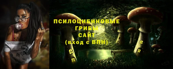 spice Верхний Тагил