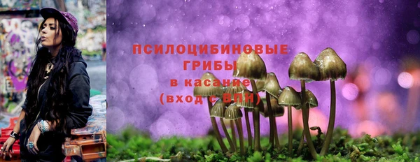 spice Верхний Тагил