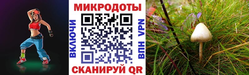 Псилоцибиновые грибы мухоморы  Купить где  Сортавала 